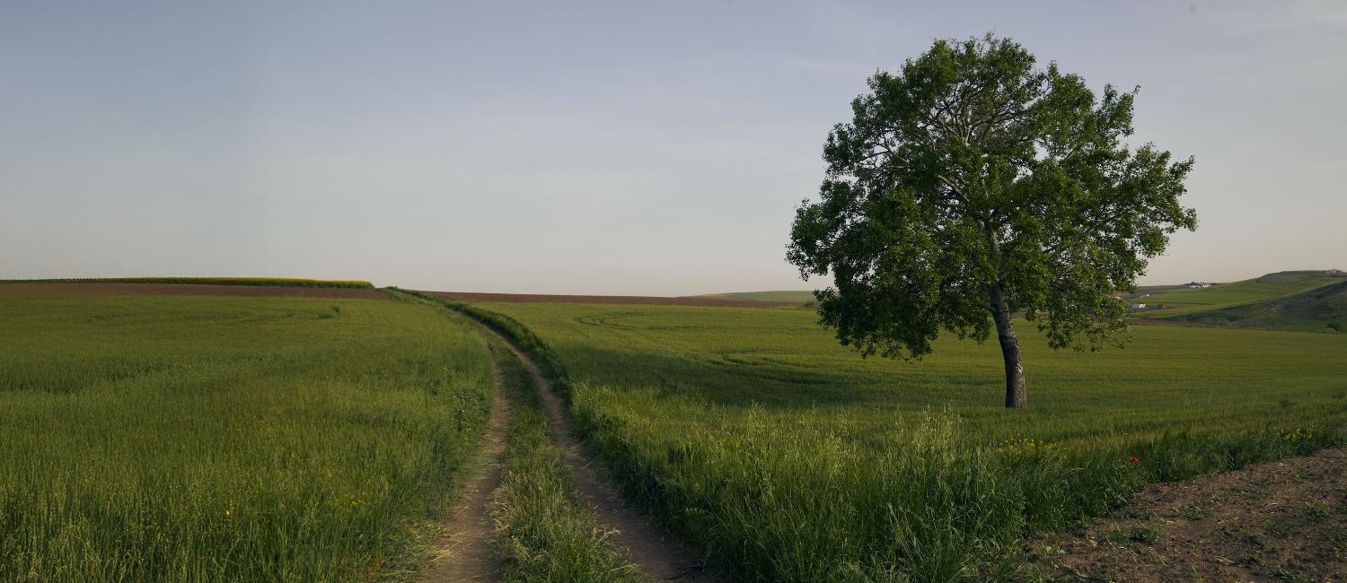 Operai agricoli e Agrifondo: sfatiamo i falsi miti